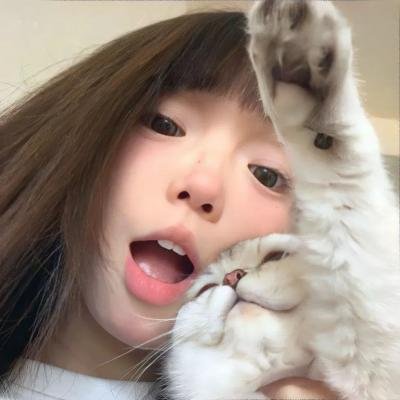 燕子与鹦鹉 海报